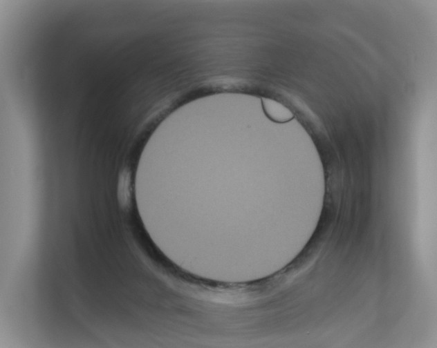 X0000111120024200908111028