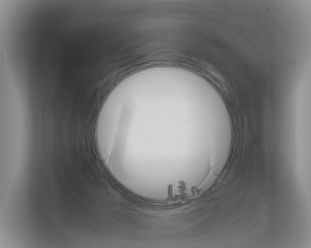 X0000111120029200908111028