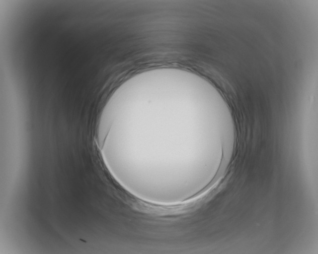 X0000111120035200908111028
