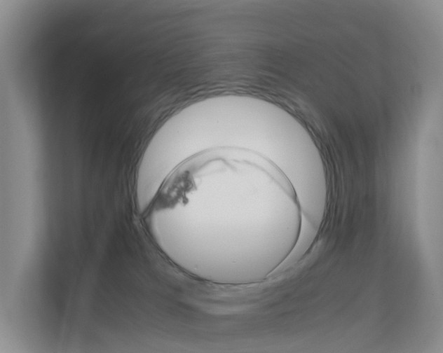 X0000111120037200908111028