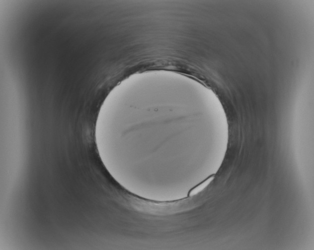 X0000111120039200908111028