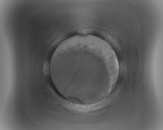 X0000111120043200908111028