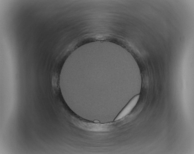X0000111120044200908111028
