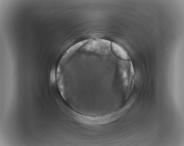 X0000111120046200908111028