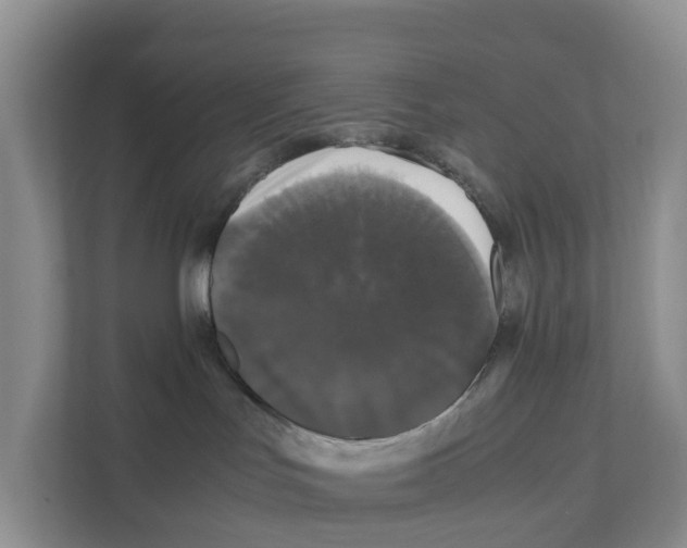 X0000111120047200908111028