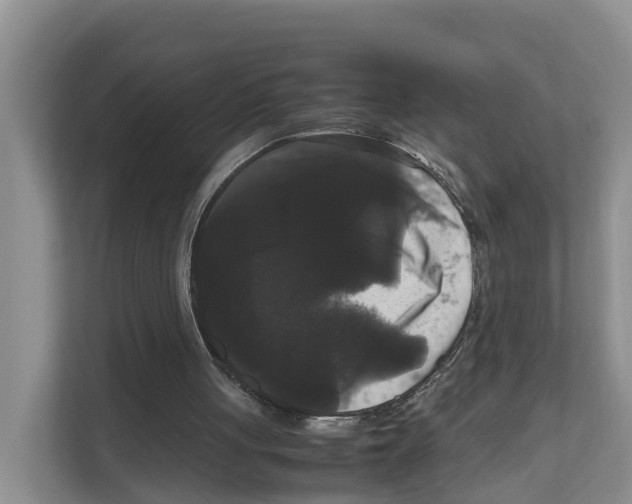 X0000111120051200908111027
