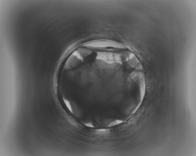 X0000111120053200908111027