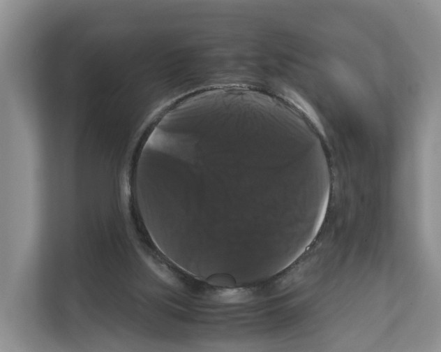 X0000111120059200908111027