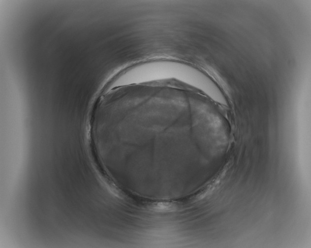 X0000111120060200908111027