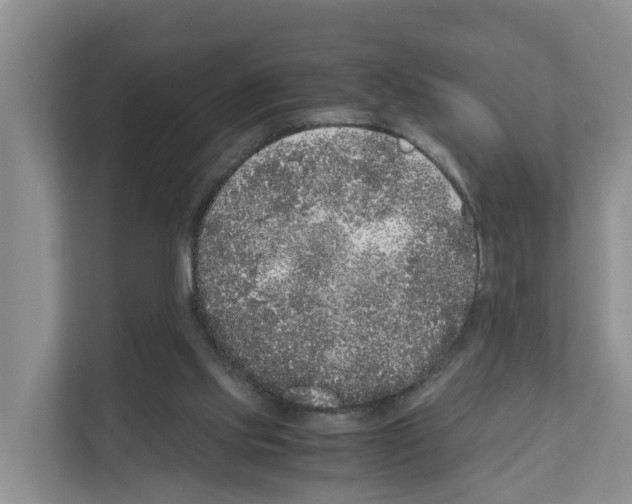 X0000111120061200908111027