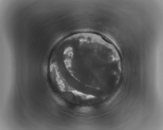 X0000111120063200908111027
