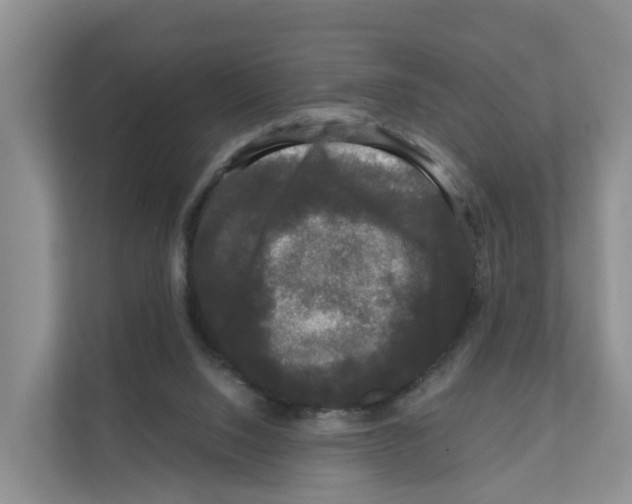X0000111120064200908111027