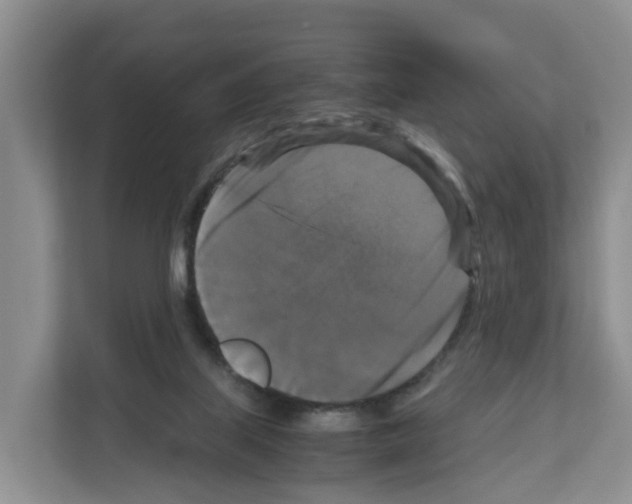 X0000111120067200908111027