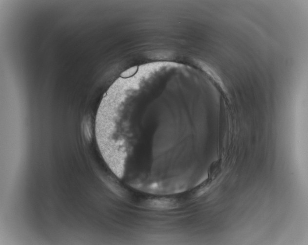 X0000111120069200908111027