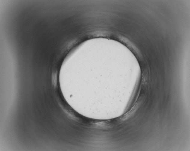 X0000111120070200908111027