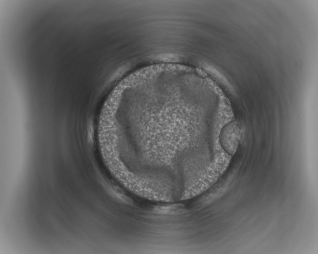 X0000111120072200908111027
