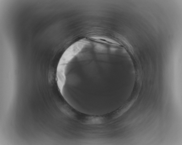 X0000111120073200908111027