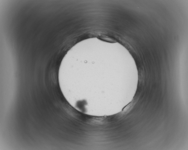 X0000111120086200908111027