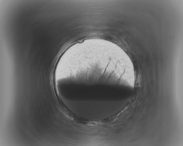X0000111120099200908111027