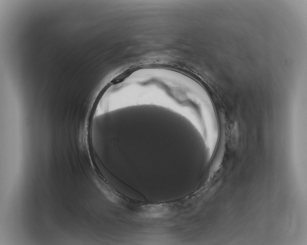 X0000111120100200908111027