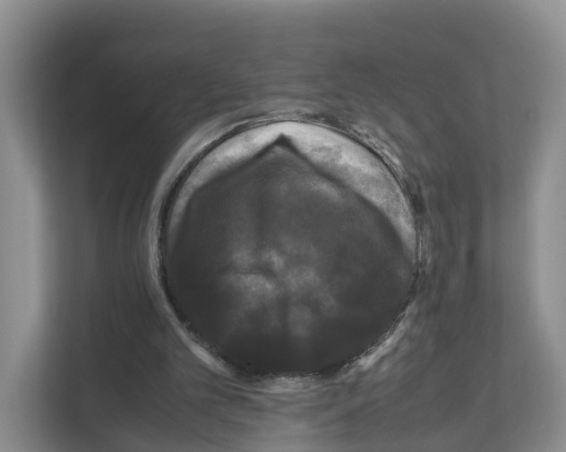 X0000111120101200908111027