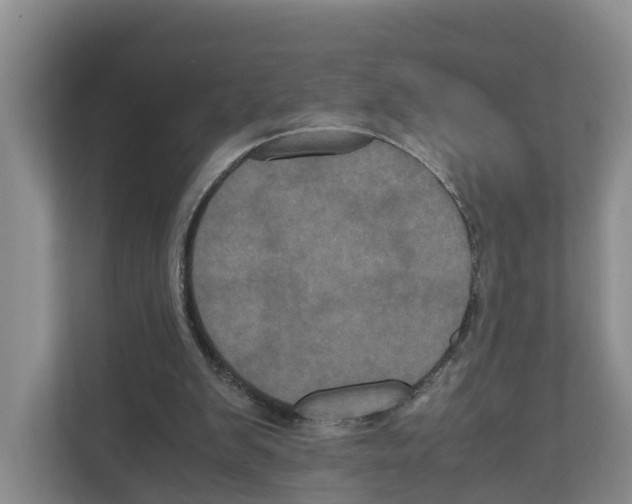 X0000111120103200908111027