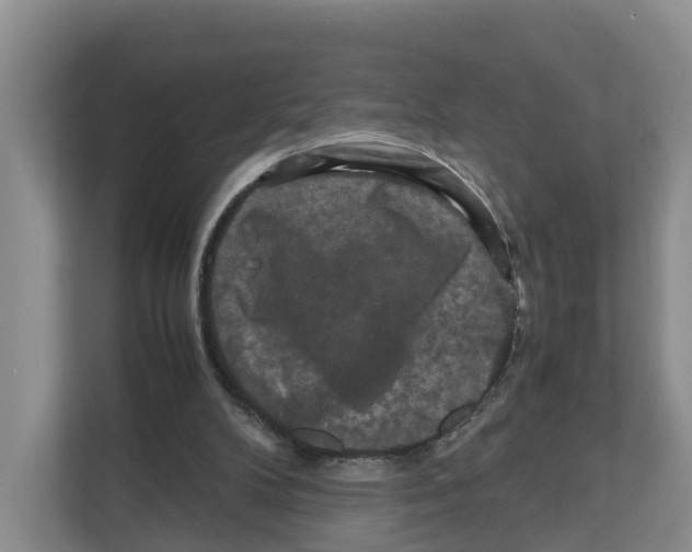X0000111120104200908111027
