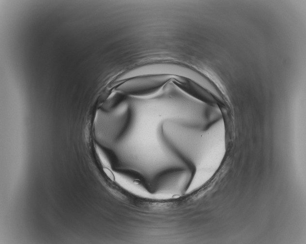 X0000111120105200908111027