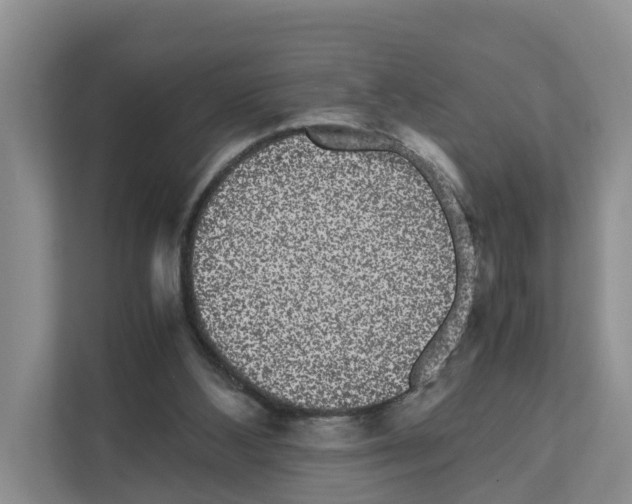 X0000111120108200908111027