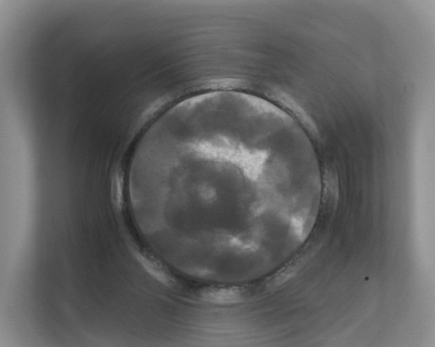 X0000111120110200908111027