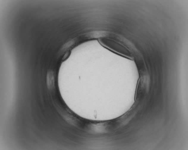 X0000111120120200908111027