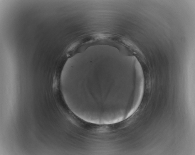 X0000111120124200908111027