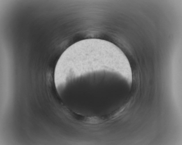X0000111120127200908111026