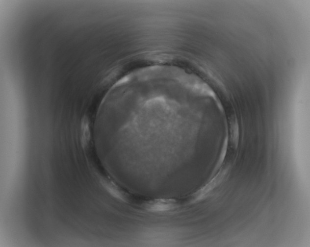 X0000111120128200908111026