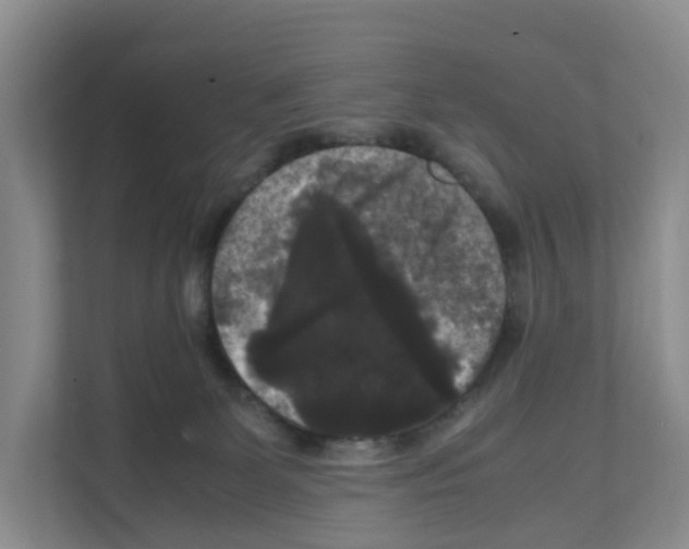 X0000111120131200908111026