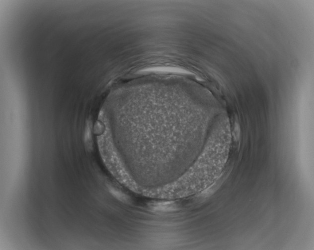 X0000111120132200908111026