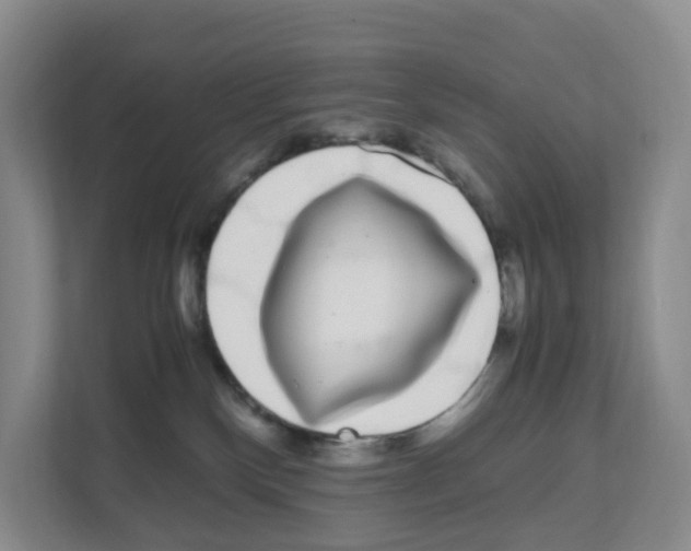 X0000111120136200908111026