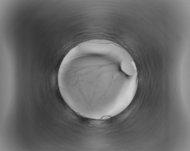 X0000111120139200908111026