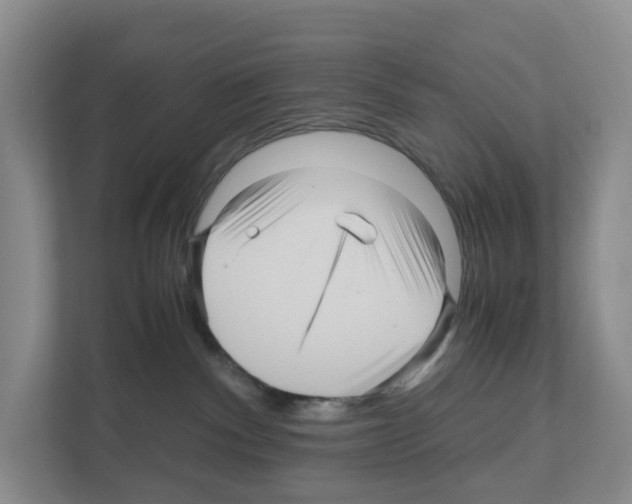 X0000111120140200908111026