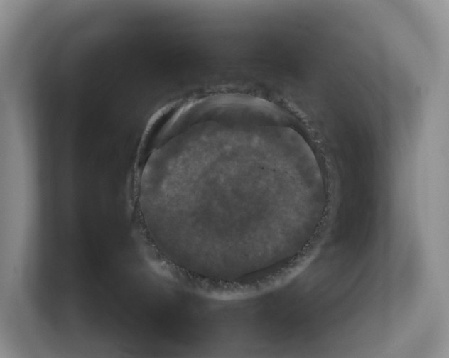 X0000111120144200908111026