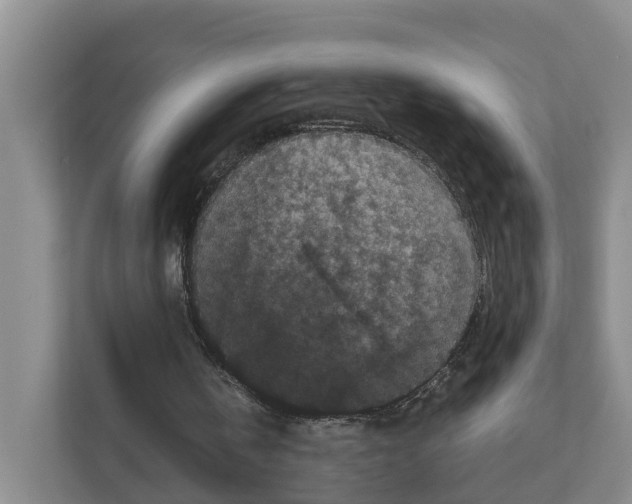 X0000111120146200908111026