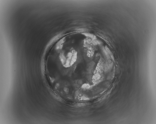 X0000111120149200908111026
