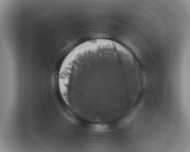X0000111120165200908111026