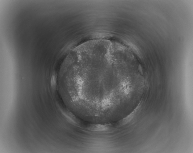 X0000111120166200908111026