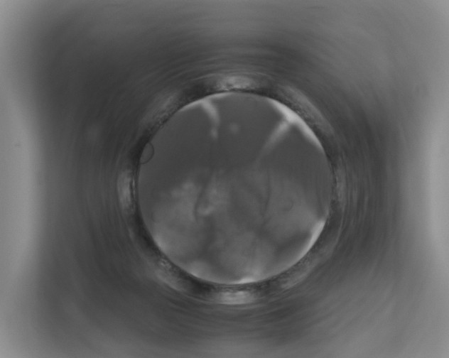 X0000111120169200908111026