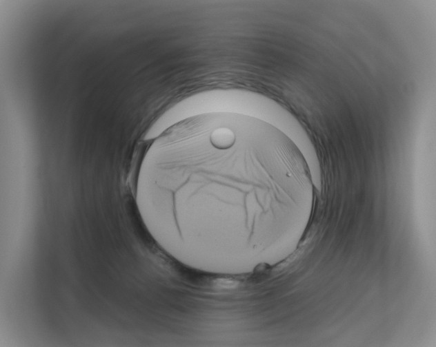 X0000111120176200908111026