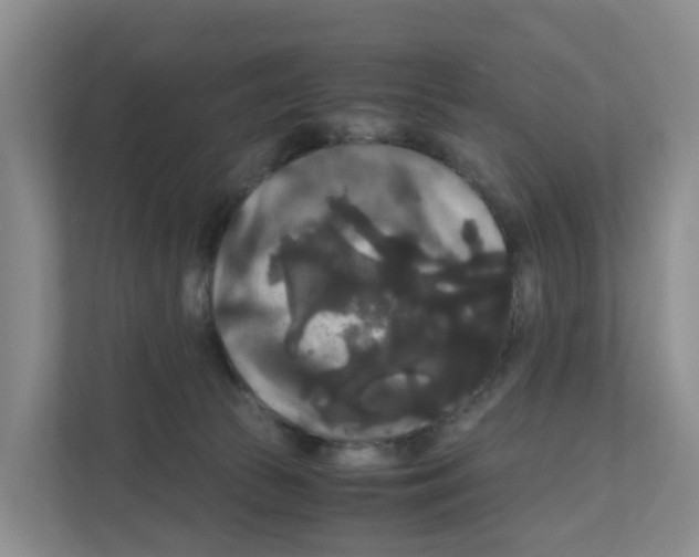 X0000111120177200908111026