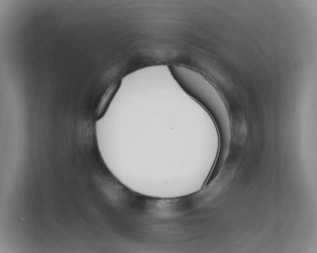 X0000111120184200908111026