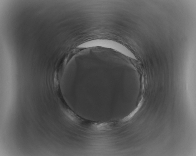 X0000111120186200908111026