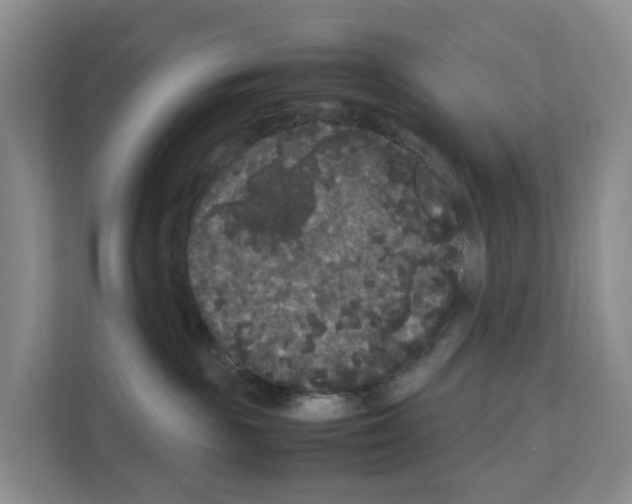 X0000111120189200908111026